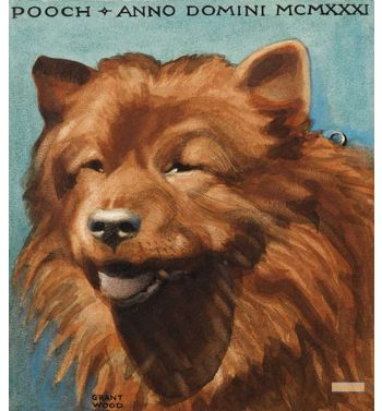 Pooch