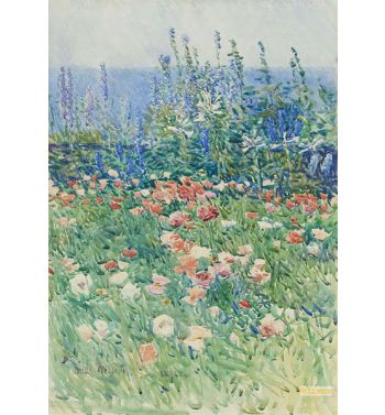 Flower Garden Isles Of Shoals 1893