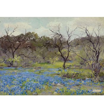 Early Spring, Bluebonnets And Mesquite