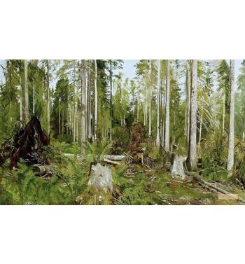 Pine Forest