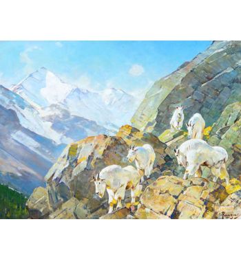 Mountain Goats