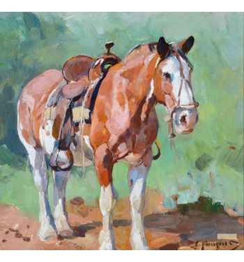 Saddle Horse