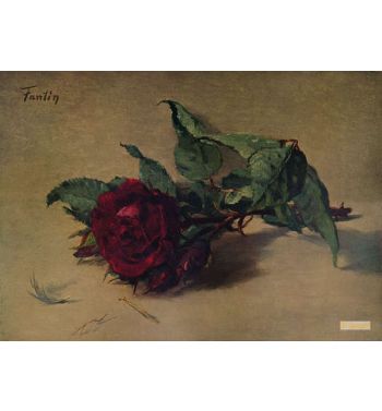 Red Rose, c1864, 1938