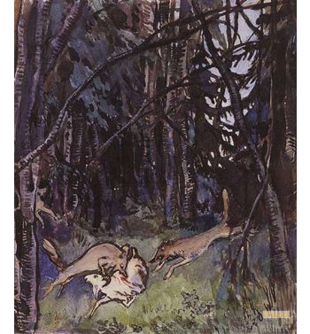 Attacked A Goat Gray Wolves 1901