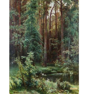 Woodland 1889