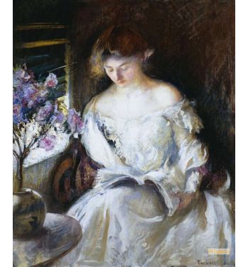 Girl Reading