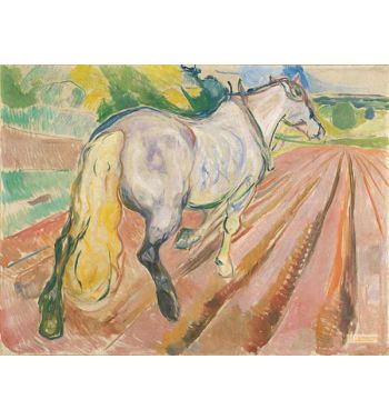 White Horse Seen From The Rear, 1910S