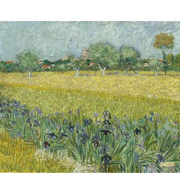 View Of Arles With Irises In The Foreground