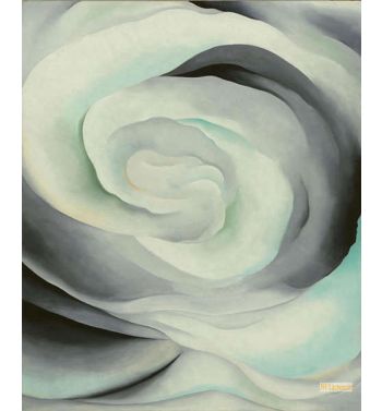 Abstraction White Rose 1927