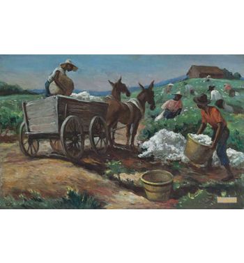 Cotton Picking and Loading