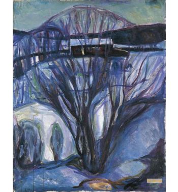 Norway, Oslo, Winter Landscape, Ekely