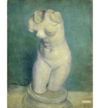 Torso Of Venus 5