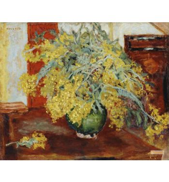 Mimosa