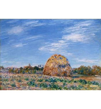 Wheel On The Edge Of The Loing