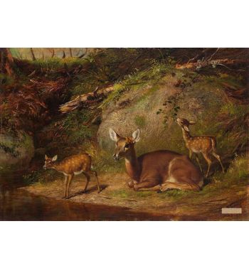 Doe And Two Fawns 1882