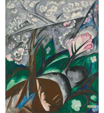 Flower Trees, Apple Trees In Bloom