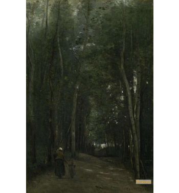 A Path In Saint Cloud