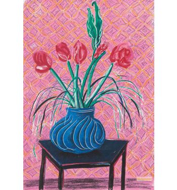 Amaryllis In Vase From Moving Focus