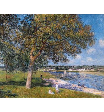 Walnut Tree In A Thomery Field