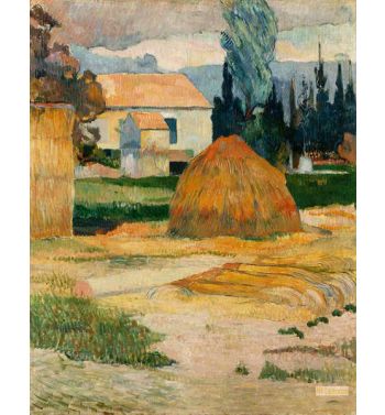 Landscape Near Arles