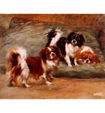 Three King Charles Spaniels On A Cushion