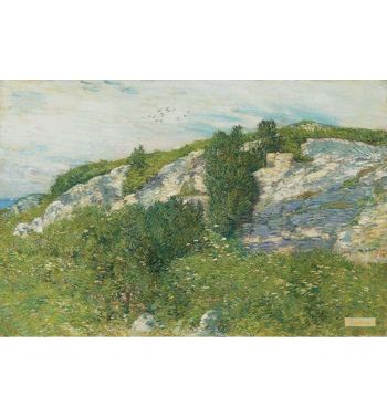 Ledges And Bay Appledore 1906