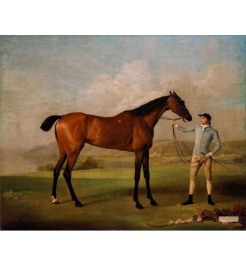 Molly Long-Legs With Her Jockey