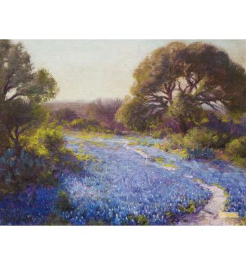 Path Through The Bluebonnets