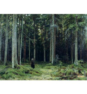 Countess Mordvinovs Forest 1891