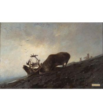 Caribou