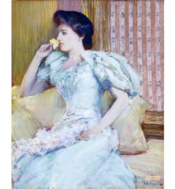 Lillie, Lillie Langtry, 1898