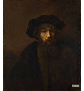 Bearded Man In A Cap