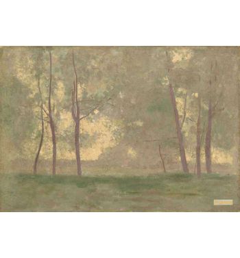 Landscape. After 1900