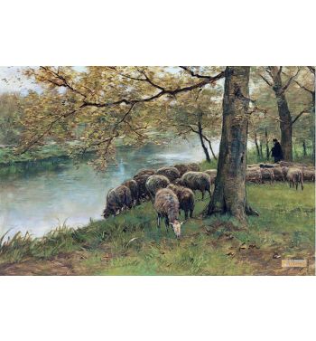 Sheep Watering By A River