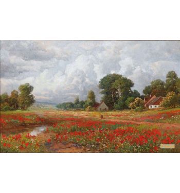 Field of Poppies