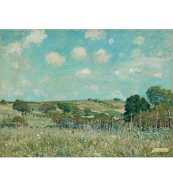 Meadow 1875