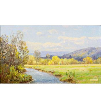 The Valley Stream