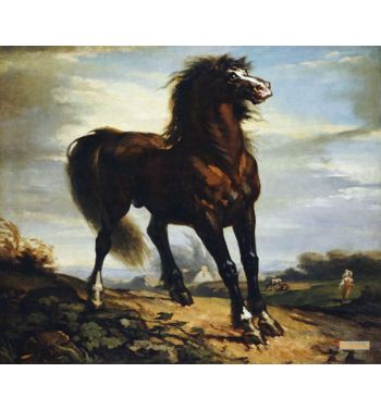 The Horse