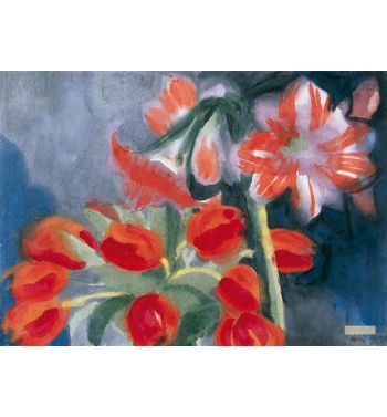 Amaryllis And Tulips