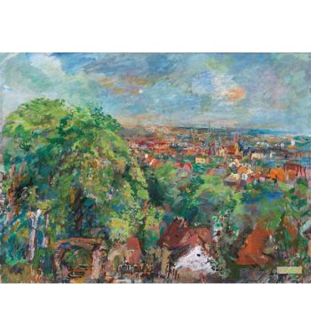 Wien Blick Vom Liebhartstal II