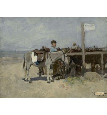 Donkey Stand On The Beach At Scheveningen