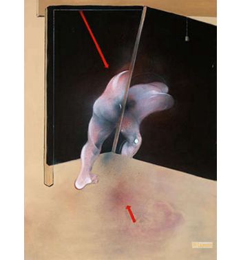 Study From the Human Body