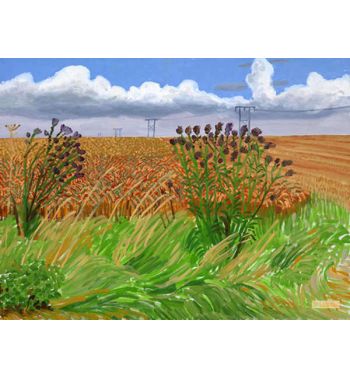 Wheatfields Off Woldgate