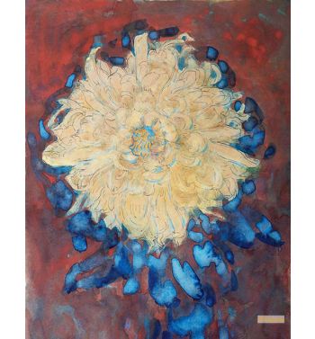 Chrysanthemum
