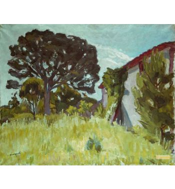 The Villa Demiere In Saint Tropez