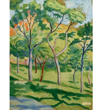 Trees In The Meadow
