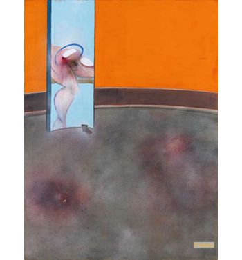 Study of the Human Body