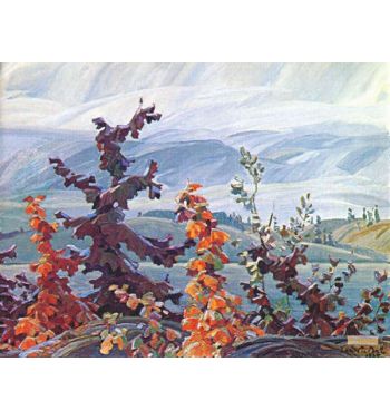 Scrub Oaks And Maples 1935