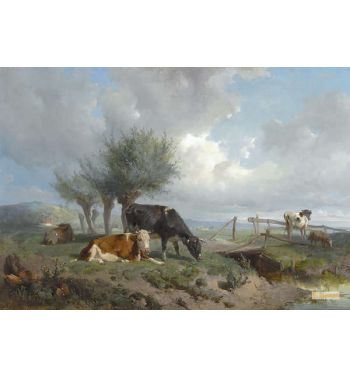 Cattle On The Waterfront At Oosterbeek