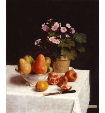 Still Life